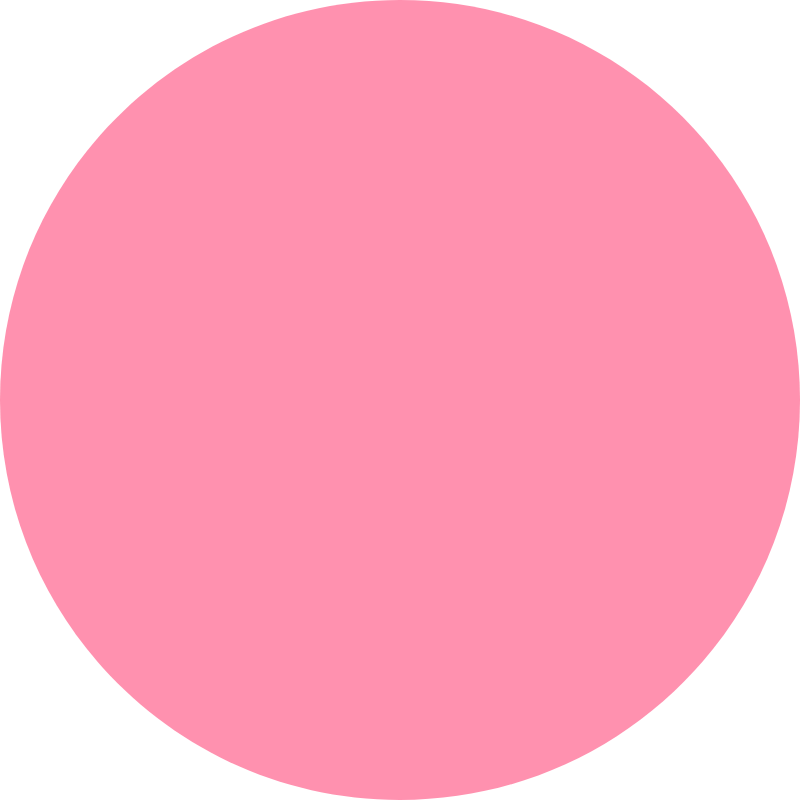 Jella™ Seamless Wire-Free Bra